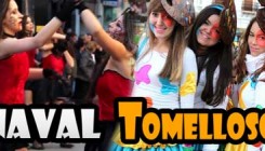 CarnavalTomelloso2012-Banner1-700