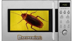 cucaracha-microondas