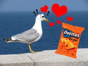 gaviota-love-doritos-web