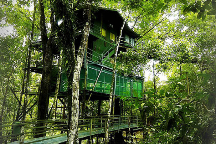 Fotografía | Ariau Amazon Towers