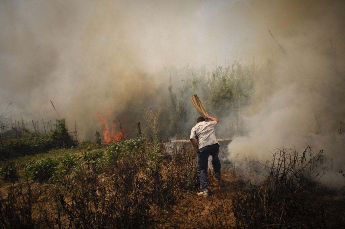 incendio forestal