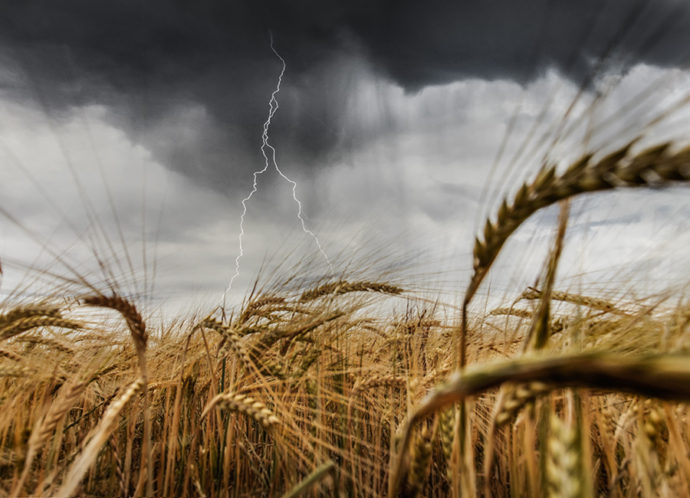 tormenta