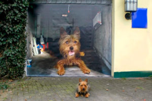 Curiosos vinilos para que la puerta de tu garaje llame la atención